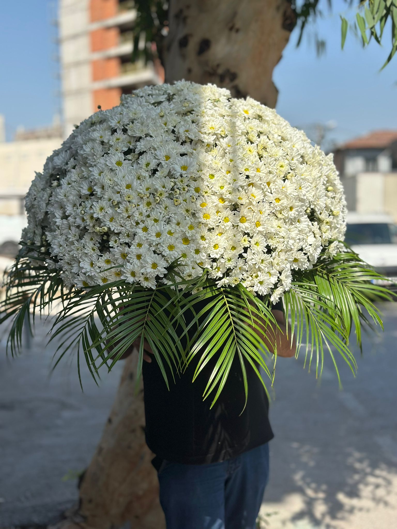 alsancak çiçekçi alsancak çiçek siparişi alsancak online çiçekçi alsancak en yakın çiçekçi alsancak hızlı çiçek teslimatı alsancak aynı gün çiçek teslimatı alsancak çiçek gönder alsancak çiçekçilik izmir alsancak çiçekçi alsancak uygun fiyatlı çiçekçi alsancak gece çiçekçi alsancak 24 saat açık çiçekçi alsancak acil çiçek siparişi alsancak nöbetçi çiçekçi alsancak bugün teslim çiçek alsancak gül siparişi alsancak kırmızı gül alsancak papatya buketi alsancak orkide siparişi alsancak lilyum çiçek alsancak saksı çiçek alsancak çiçek buketi alsancak özel tasarım çiçek alsancak vip çiçekçi alsancak lüks çiçek alsancak sevgililer günü çiçek alsancak anneler günü çiçek alsancak doğum günü çiçek alsancak geçmiş olsun çiçeği alsancak hastaneye çiçek gönder alsancak cenaze çelenk alsancak düğün çiçeği alsancak nişan çiçeği alsancak isteme çiçeği alsancak söz çiçeği alsancak karanfil siparişi alsancak ayçiçeği buketi alsancak teraryum alsancak sukulent alsancak yapay çiçek alsancak çiçekçi telefon alsancak çiçekçi adres alsancak çiçekçi fiyatları alsancak çiçekçi yorumları alsancak en iyi çiçekçi alsancak evlere çiçek servisi alsancak iş yerine çiçek gönder alsancak kurumsal çiçek siparişi alsancak butik çiçekçi alsancak çiçek kampanya